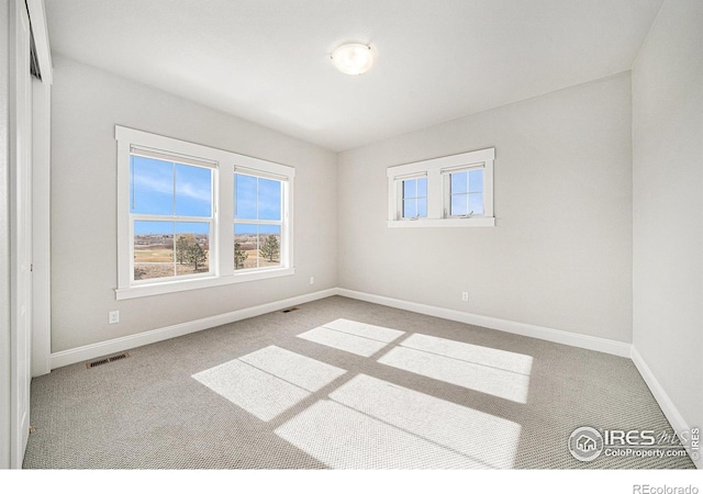 4300 Ardglass Ln, Timnath, CO 80547 - unfurnished room with carpet, plenty of natural light, and baseboards