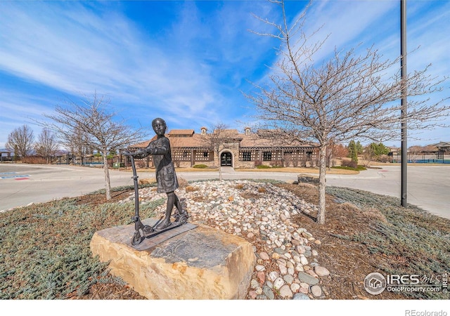 4300 Ardglass Ln, Timnath, CO 80547 - view of front of home
