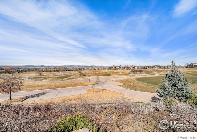 4300 Ardglass Ln, Timnath, CO 80547 - view of yard