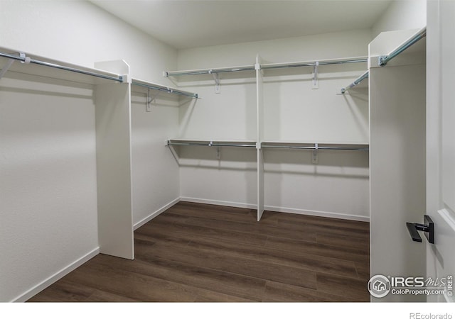 spacious closet featuring wood finished floors