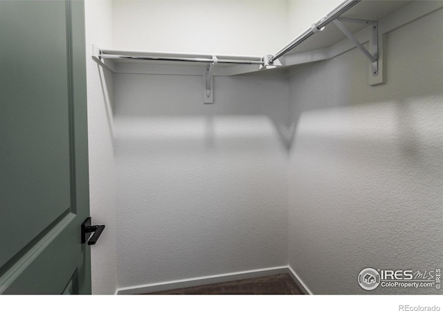 view of walk in closet