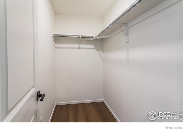 walk in closet featuring dark wood-type flooring