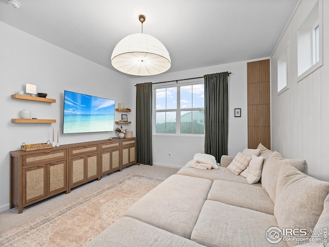 2412 Cottongrass Ave, Loveland, CO 80538 - living room featuring baseboards and light colored carpet