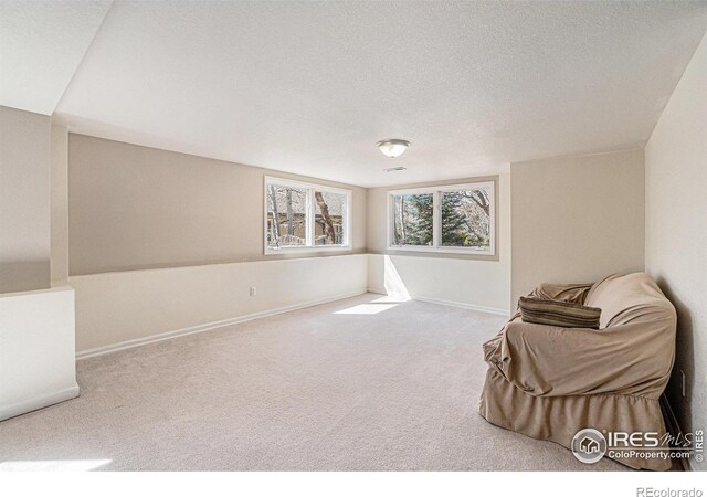 2409 Denby Ct, Fort Collins, CO 80526 - unfurnished room with carpet, a textured ceiling, and baseboards