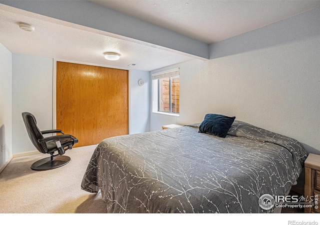 2409 Denby Ct, Fort Collins, CO 80526 - view of carpeted bedroom