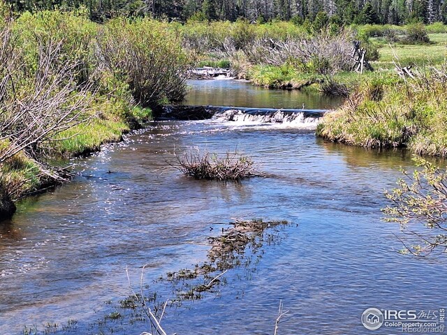 873 Huron Rd, Red Feather Lakes, CO 80545 - photo 38