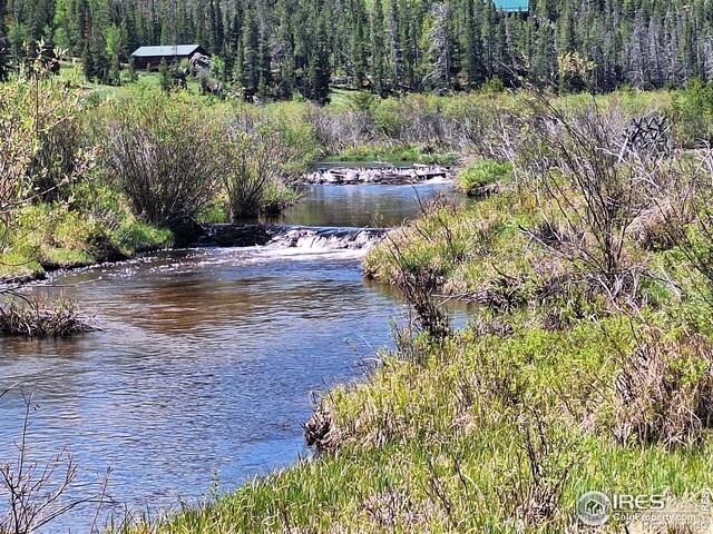 873 Huron Rd, Red Feather Lakes, CO 80545 - photo 39