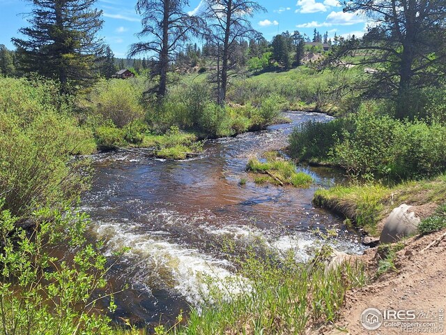 873 Huron Rd, Red Feather Lakes, CO 80545 - photo 40