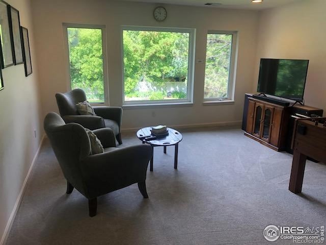 873 Cypress Dr, Boulder, CO 80303 - living area featuring carpet floors and healthy amount of natural light