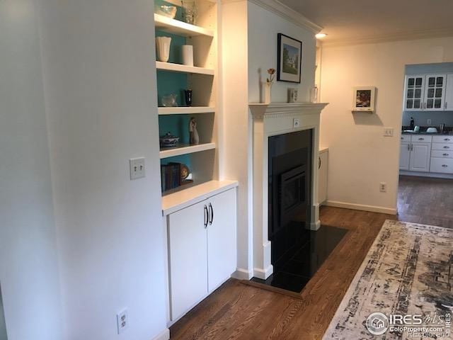 873 Cypress Dr, Boulder, CO 80303 - interior space featuring ornamental molding, dark wood-style floors, a fireplace with flush hearth, open shelves, and built in features