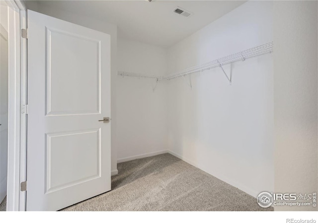 spacious closet with carpet flooring and visible vents