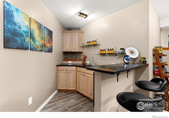 1046 Greens Pl, Erie, CO 80516 - indoor wet bar with dark wood-style flooring, baseboards, and tasteful backsplash