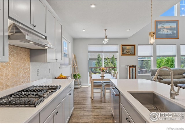 1863 Pioneer Cir, Lafayette, CO 80026 - kitchen with appliances with stainless steel finishes, a sink, under cabinet range hood, wood finished floors, and tasteful backsplash