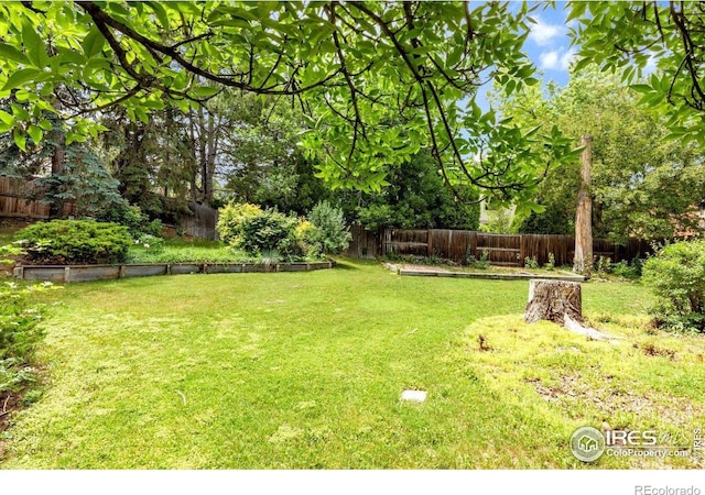 8940 W 80th Dr, Arvada, CO 80005 - fenced backyard featuring view of wooded area