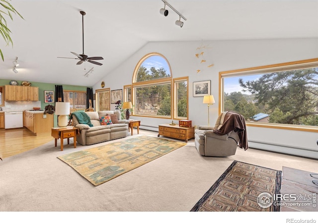 317 W 5th St, Nederland, CO 80466 - living area with rail lighting, light colored carpet, healthy amount of natural light, baseboard heating, and high vaulted ceiling