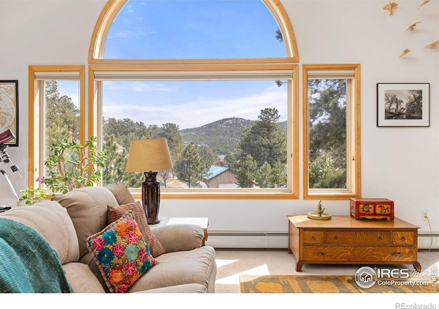 317 W 5th St, Nederland, CO 80466 - living room featuring baseboard heating, a mountain view, a high ceiling, and a baseboard radiator