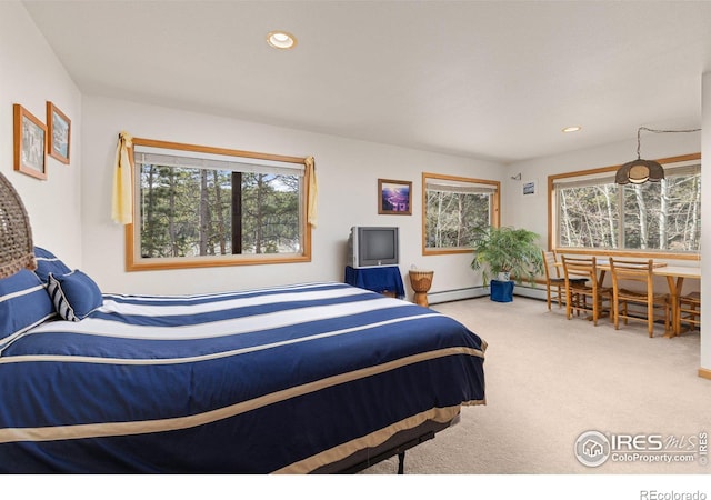 317 W 5th St, Nederland, CO 80466 - bedroom featuring carpet floors, a baseboard heating unit, recessed lighting, and baseboards