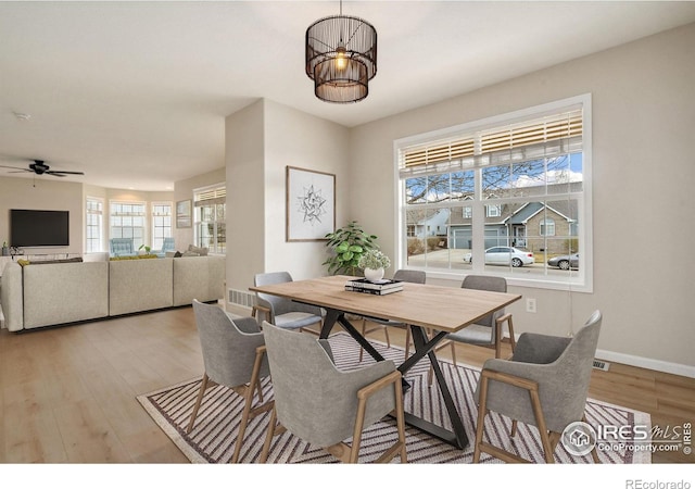 447 Lark Bunting Ave, Loveland, CO 80537 - photo 5