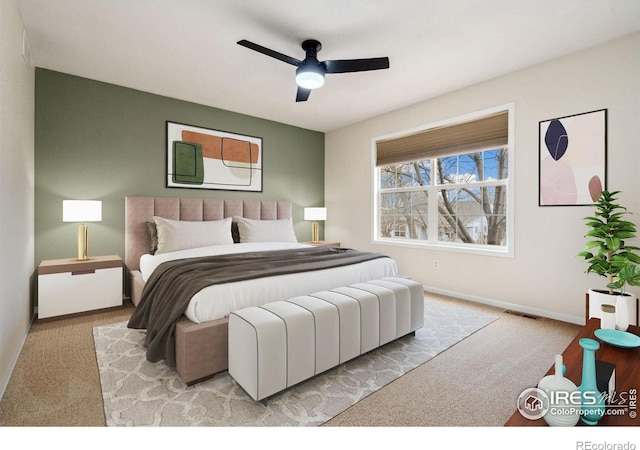 447 Lark Bunting Ave, Loveland, CO 80537 - photo 16