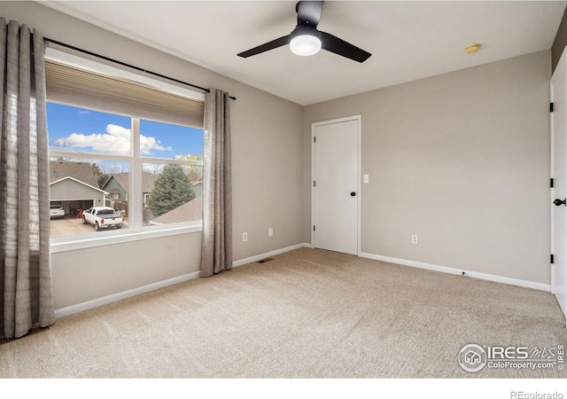447 Lark Bunting Ave, Loveland, CO 80537 - photo 20