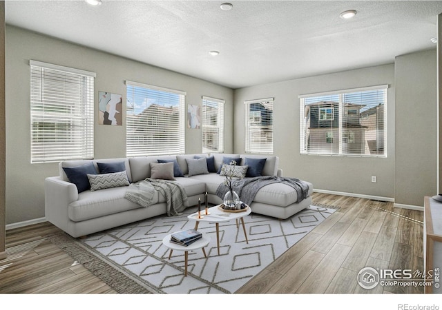 living room featuring baseboards, wood finished floors, and a textured ceiling