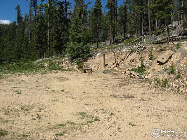 1244 Mosquito Dr, Red Feather Lakes, CO 80545 - photo 4
