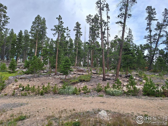 1244 Mosquito Dr, Red Feather Lakes, CO 80545 - photo 17