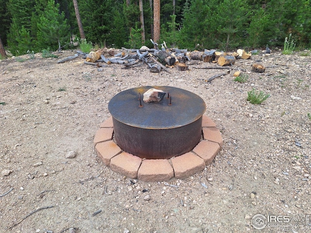 1244 Mosquito Dr, Red Feather Lakes, CO 80545 - photo 13