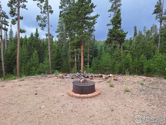 1244 Mosquito Dr, Red Feather Lakes, CO 80545 - photo 5