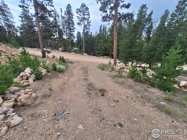 1244 Mosquito Dr, Red Feather Lakes, CO 80545 - photo 22