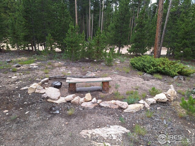 1244 Mosquito Dr, Red Feather Lakes, CO 80545 - photo 15