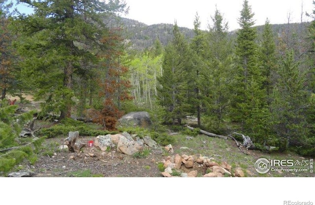 204 Sutiki Dr, Red Feather Lakes, CO 80545