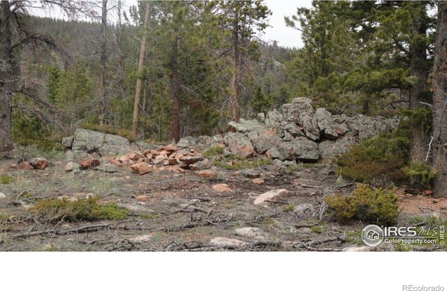 204 Sutiki Dr, Red Feather Lakes, CO 80545