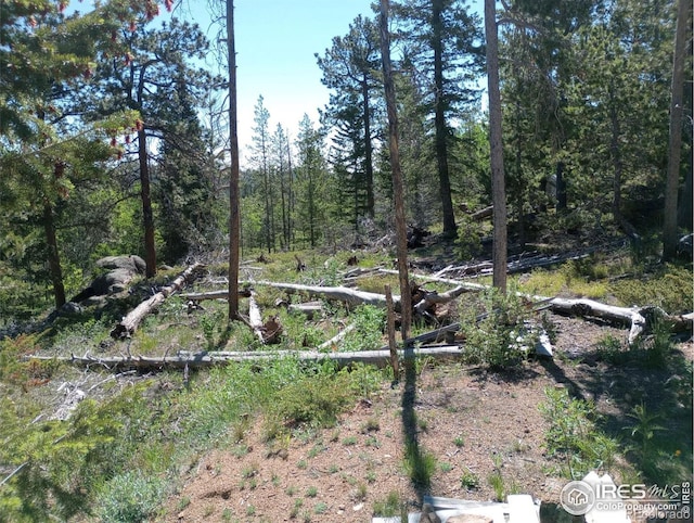 204 Sutiki Dr, Red Feather Lakes, CO 80545
