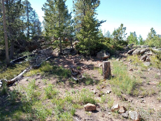 204 Sutiki Dr, Red Feather Lakes, CO 80545