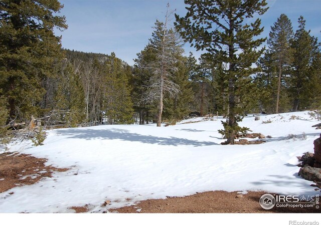 204 Sutiki Dr, Red Feather Lakes, CO 80545