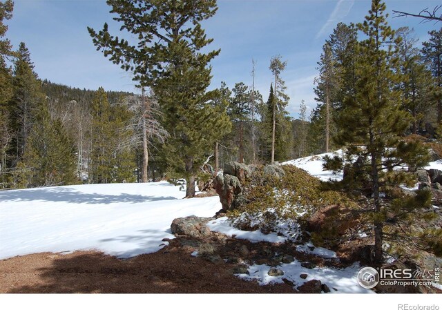 204 Sutiki Dr, Red Feather Lakes, CO 80545