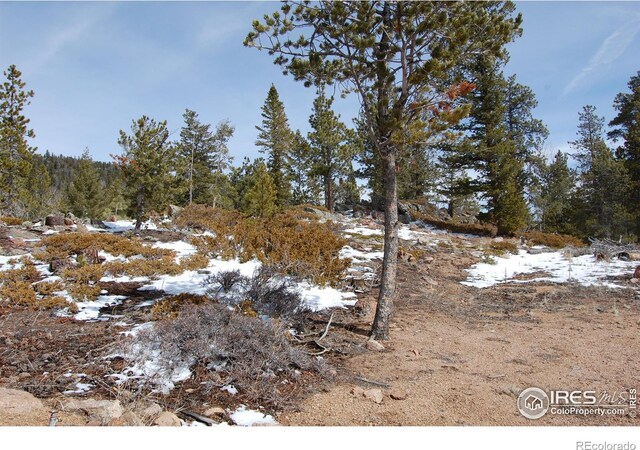 204 Sutiki Dr, Red Feather Lakes, CO 80545