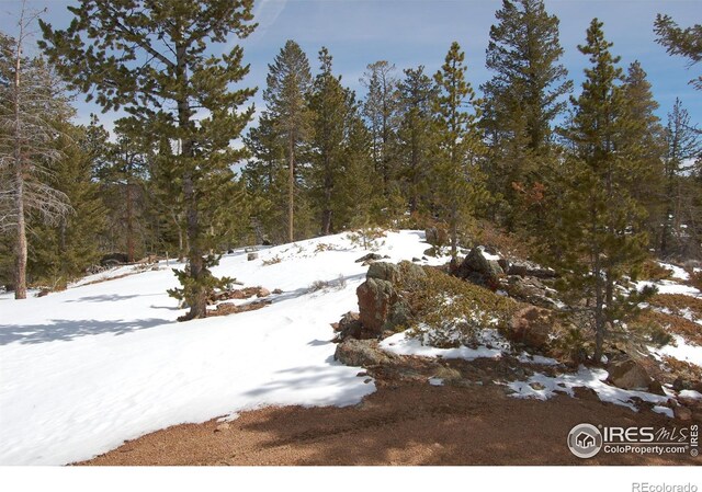 204 Sutiki Dr, Red Feather Lakes, CO 80545