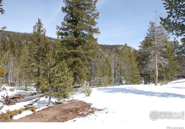 204 Sutiki Dr, Red Feather Lakes, CO 80545