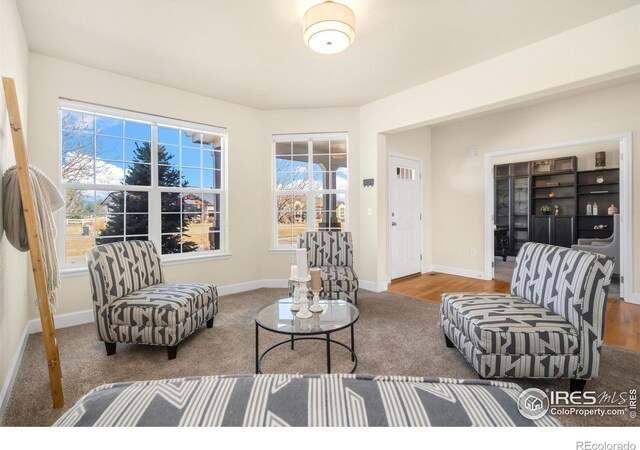 2730 Anchorage Ct, Loveland, CO 80538 - photo 6