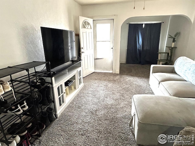 730 Lake St, Fort Morgan, CO 80701 - living room featuring a textured wall, arched walkways, and carpet