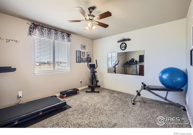 5460 Homeward Dr, Timnath, CO 80547 - exercise area featuring carpet flooring, a ceiling fan, and baseboards