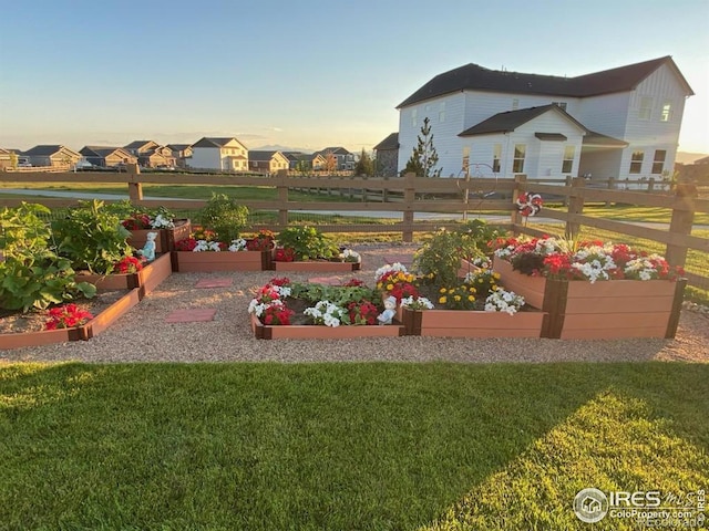 5460 Homeward Dr, Timnath, CO 80547 - yard at dusk featuring a vegetable garden and a residential view