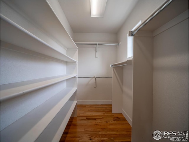 2946 Shoshone Trl, Lafayette, CO 80026 - walk in closet with wood finished floors