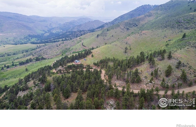 10435 Roan Mountain Rd, Loveland, CO 80538 - property view of mountains
