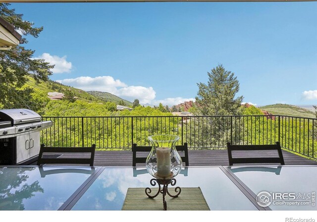 10113 Thunder Run, Littleton, CO 80125 - photo 4