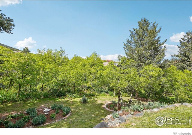 10113 Thunder Run, Littleton, CO 80125 - photo 5