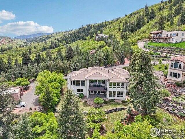 10113 Thunder Run, Littleton, CO 80125 - photo 6