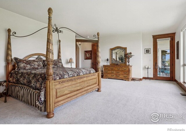 10113 Thunder Run, Littleton, CO 80125 - photo 29